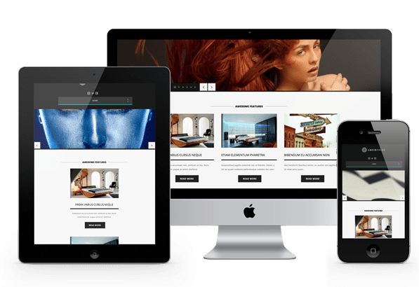 Portfolio - LMS Solutions Inc | Small Business Advertising Agency ...