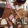 blog- freelancer or Agency understanding the difference when choosing a social media partner