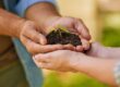 How to Partner with Non-Profits for a Win-Win | LMS Solutions Inc