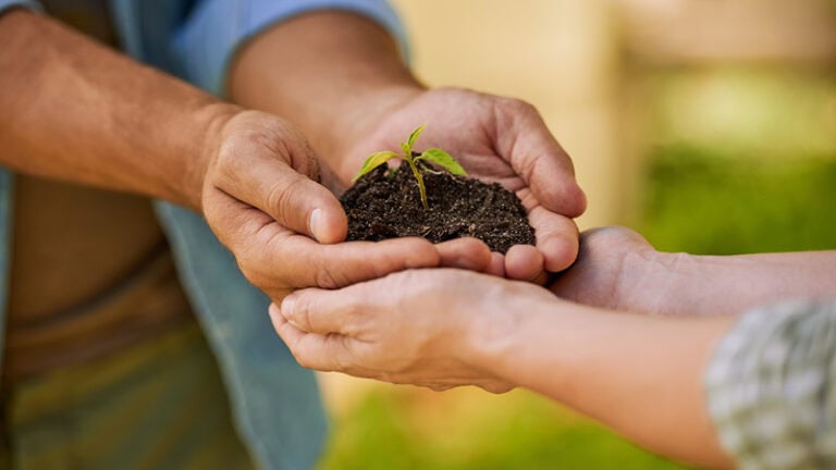 How to Partner with Non-Profits for a Win-Win How to Partner with Non-Profits for a Win-Win | LMS Solutions Inc