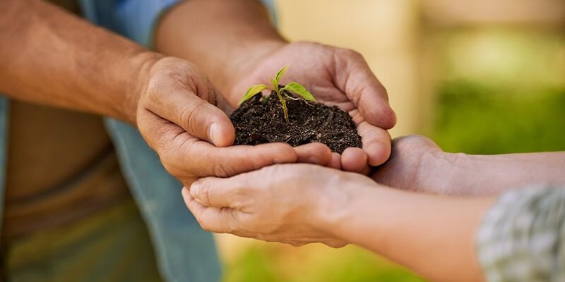 How to Partner with Non-Profits for a Win-Win | LMS Solutions Inc