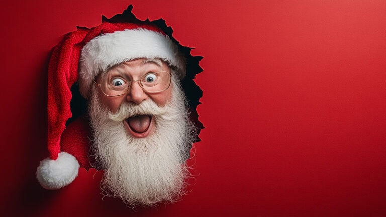 Starting to Plan for the Upcoming Holiday Season | LMS Solutions Inc