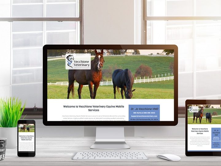 Vecchione Veterinary Website Design | LMS Solutions