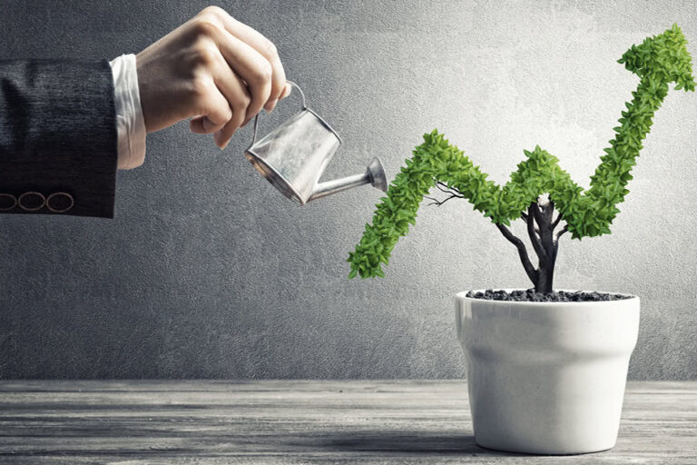 Working ON Your Business vs IN Your Business | LMS Solutions Inc | Small Business Marketing Agency