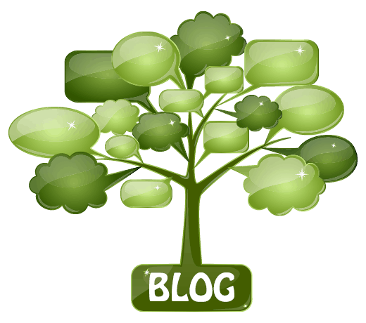 website design paoli pa website blog management